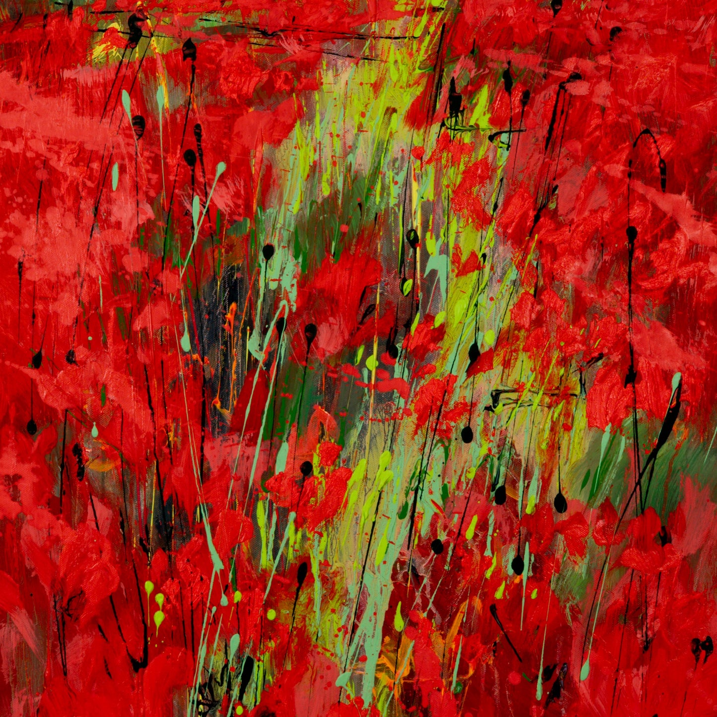 Weg im Mohn Bild 4