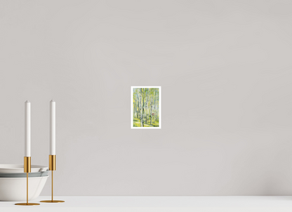 DIN A6 (10,5 x 14,8 cm), Hahnemühle Photo Rag Bright White Birken Sommer - Fine Art Print