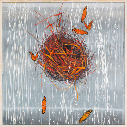 7 Julia-Schmetterlinge Bild 1