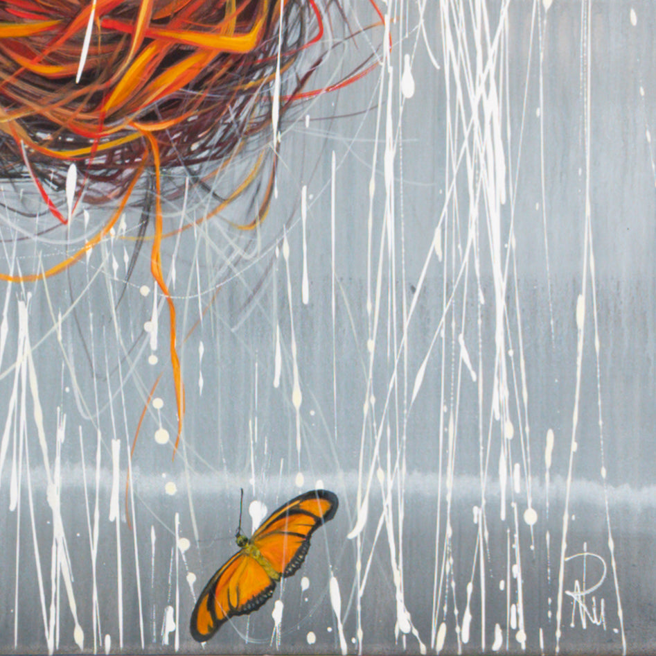7 Julia-Schmetterlinge Bild 4