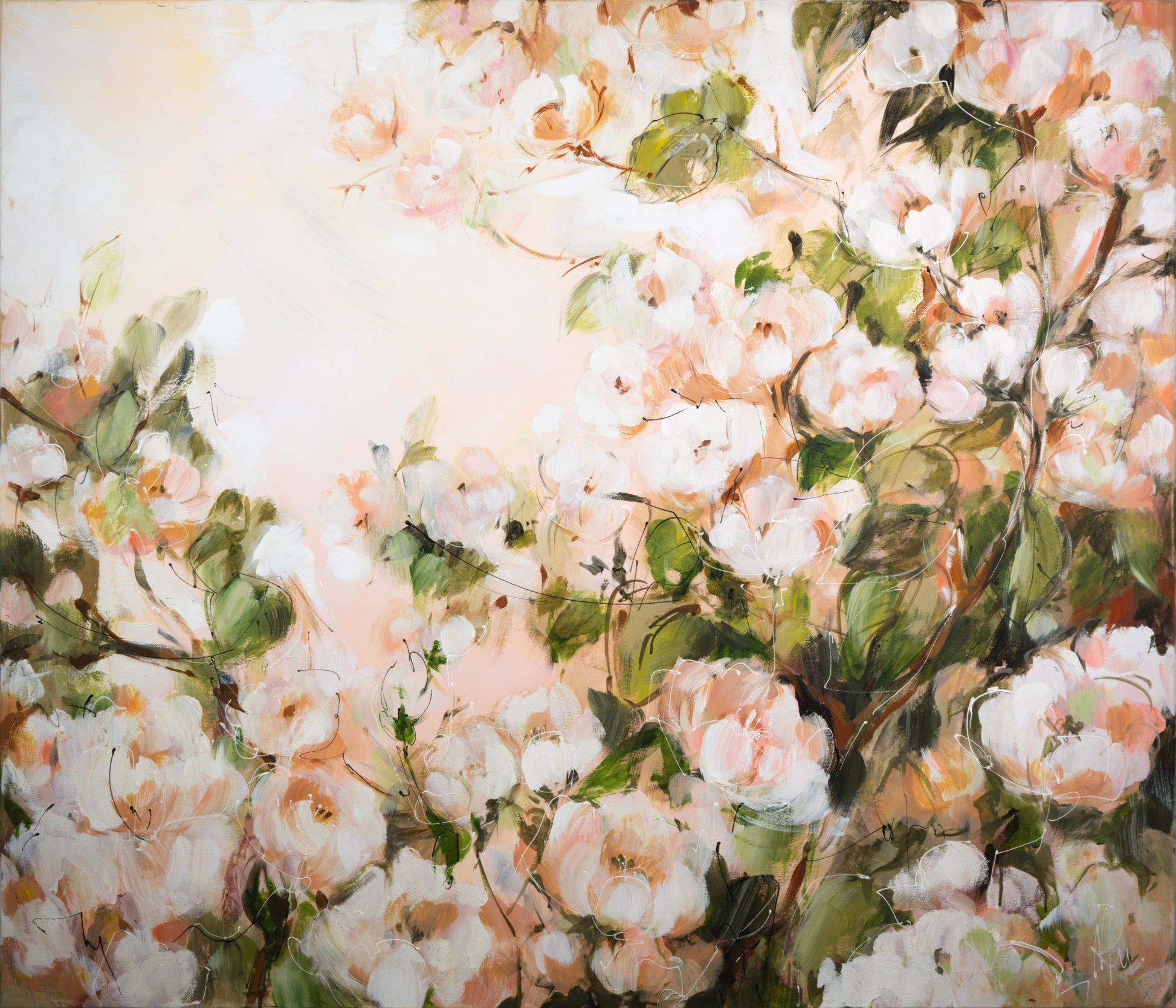 Apfelblüte Bild 1
