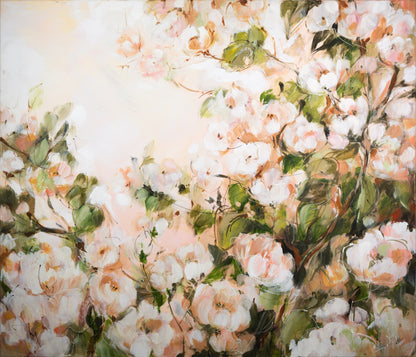 Apfelblüte Bild 1