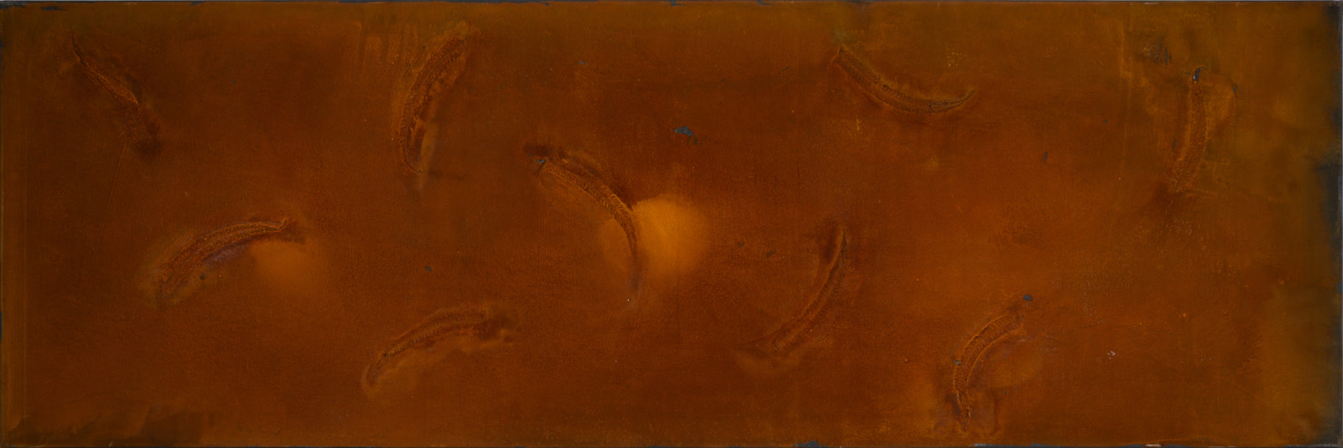 Experiment Bild 1