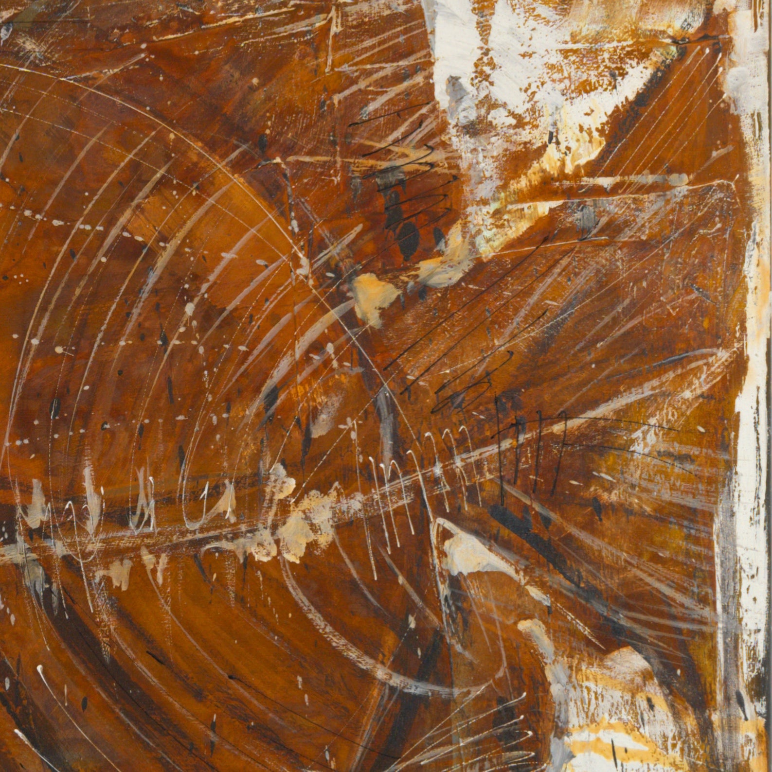 Fisch Bild 5