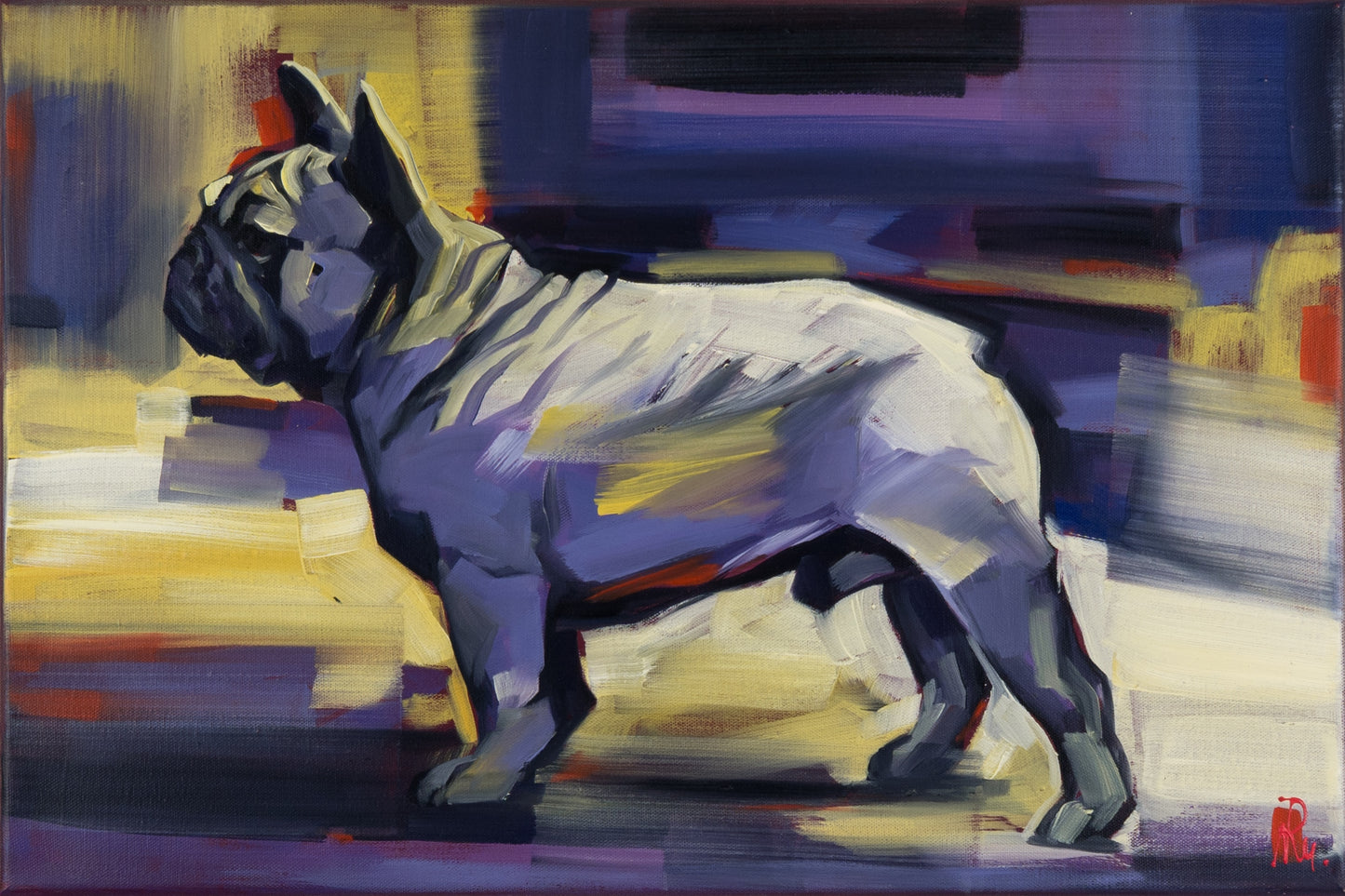 Französische Bulldogge Bild 1