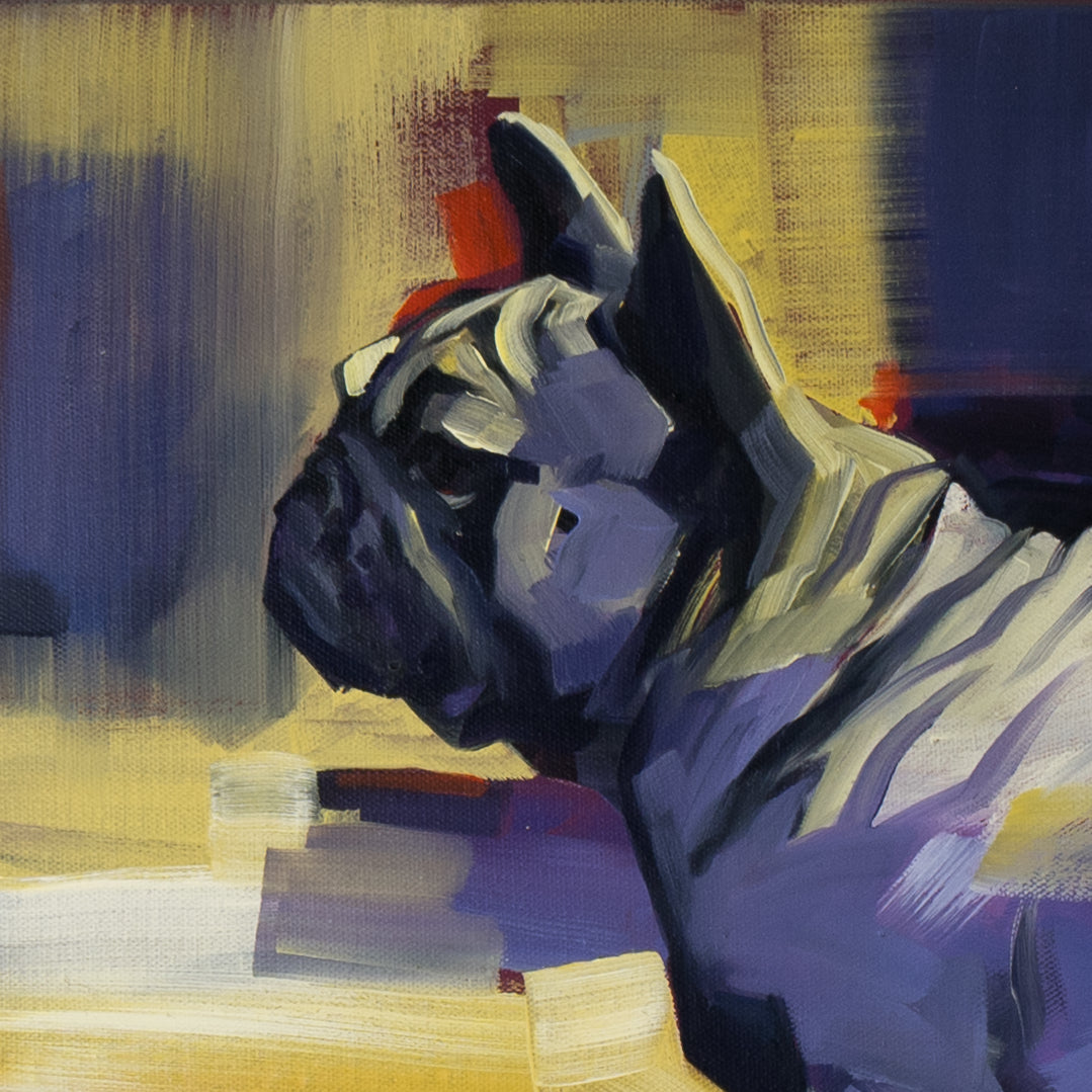Französische Bulldogge Bild 3