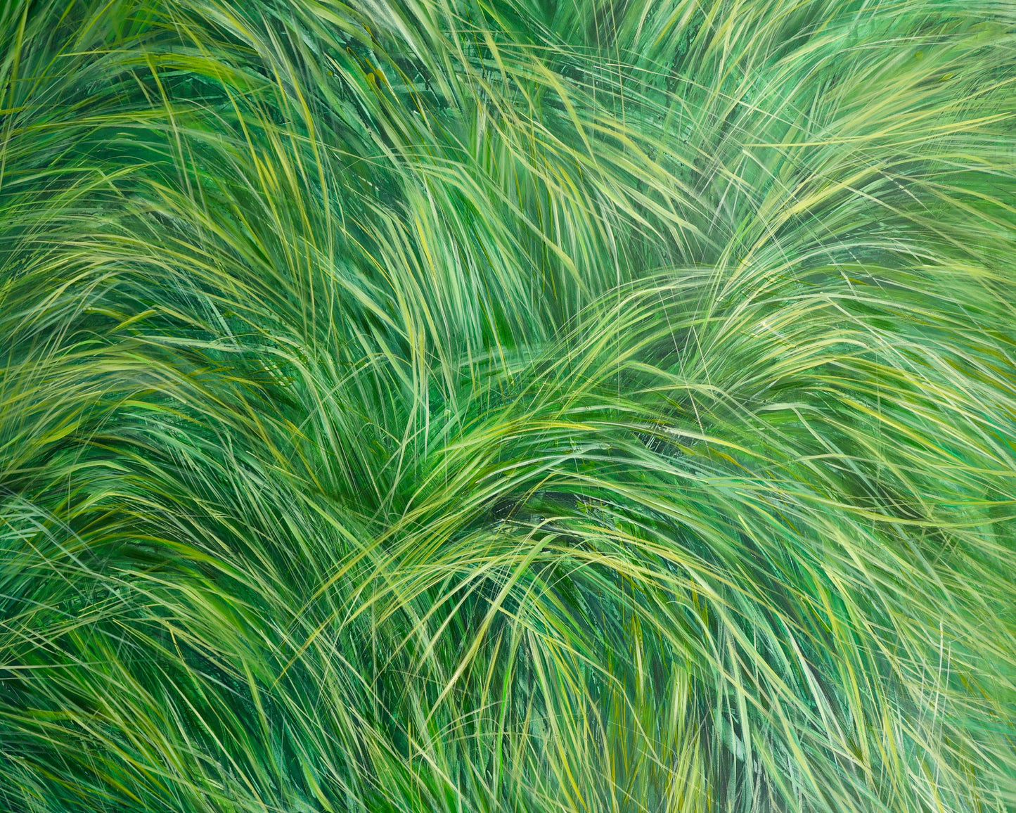 Grünes, grünes Gras Bild 1