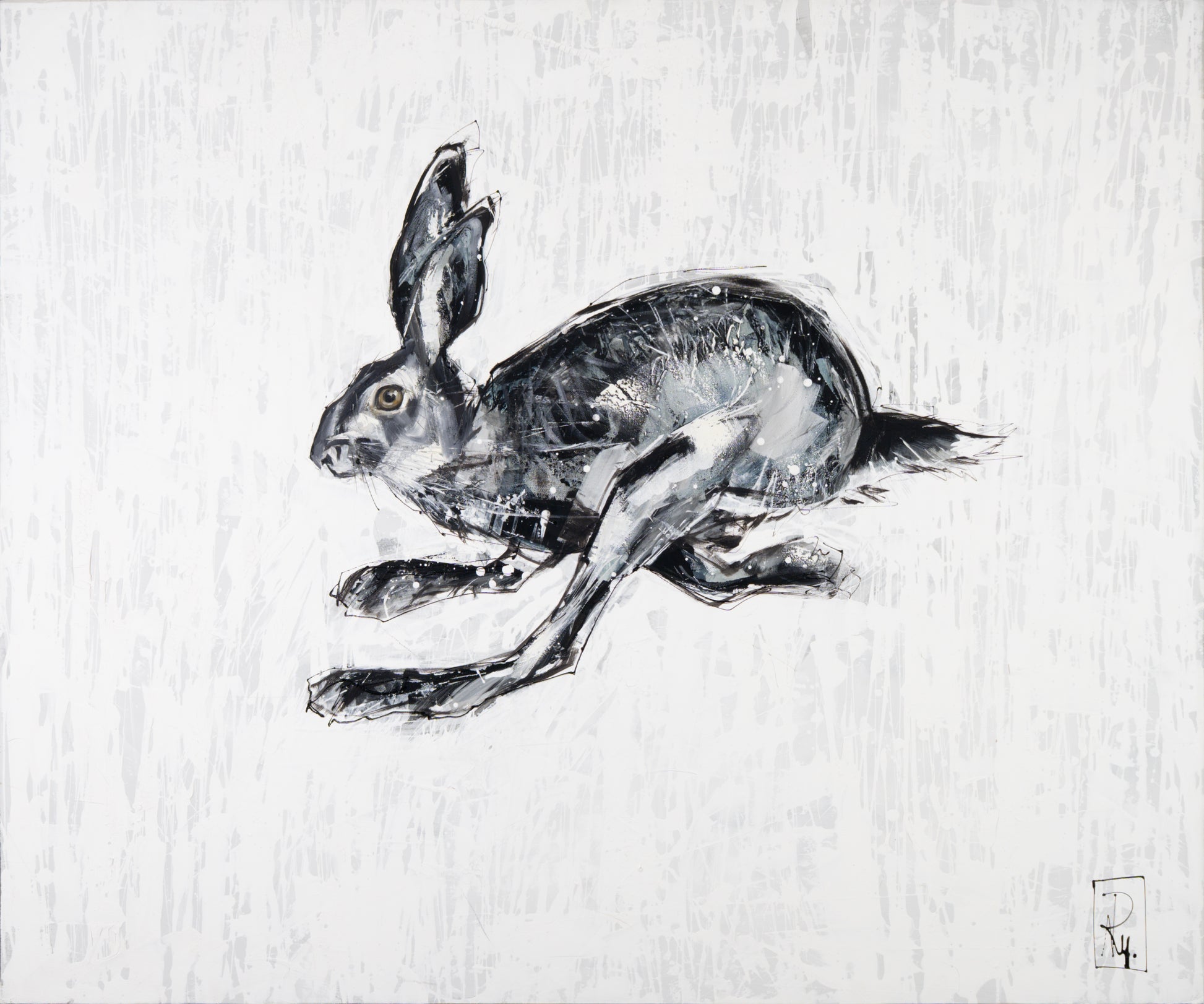 Hase Bild 1