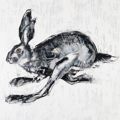 Hase Bild 3