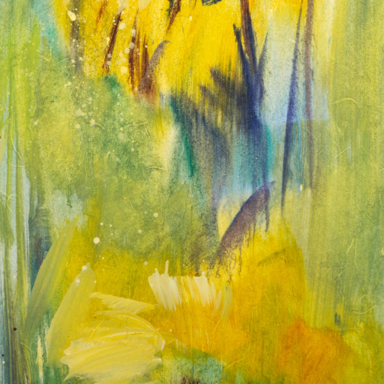 Impressionen mit Sonnenblumen Bild 5