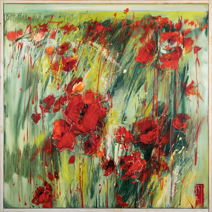 Klatschmohn Bild 1