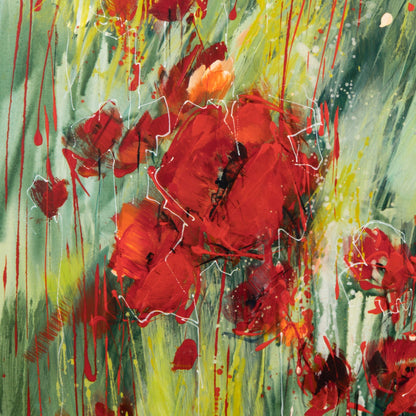 Klatschmohn Bild 3