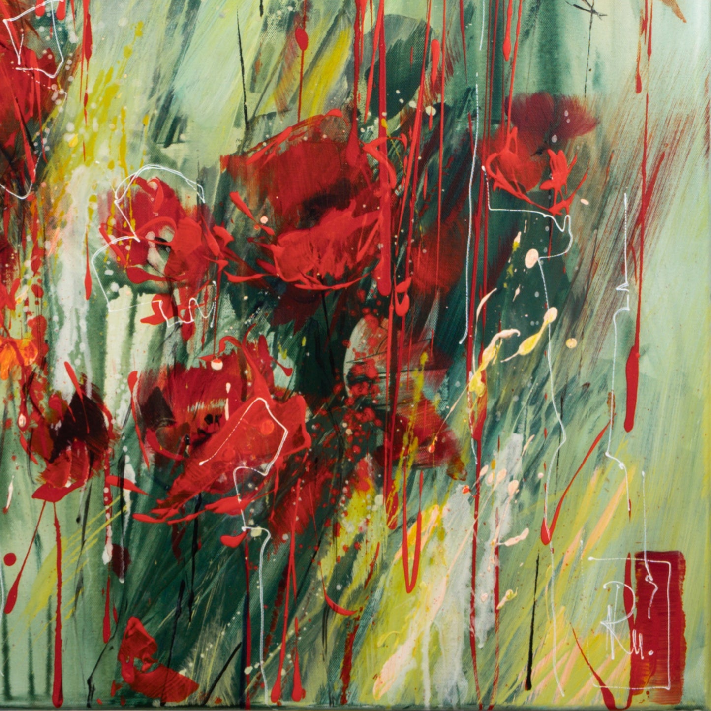 Klatschmohn Bild 4