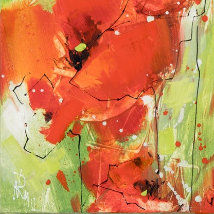 Klatschmohn (Klein) Bild 3