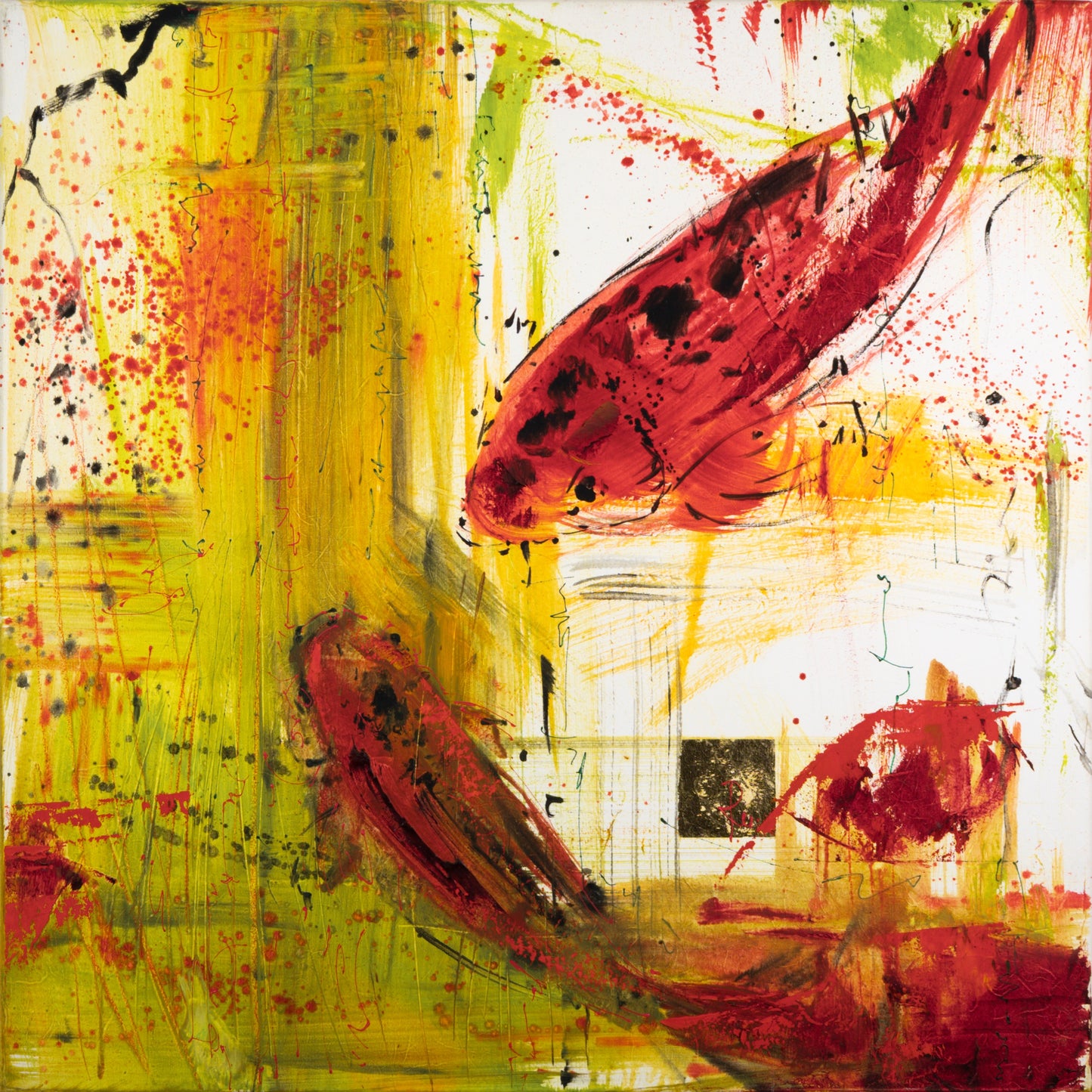 Koi 2 Bild 1