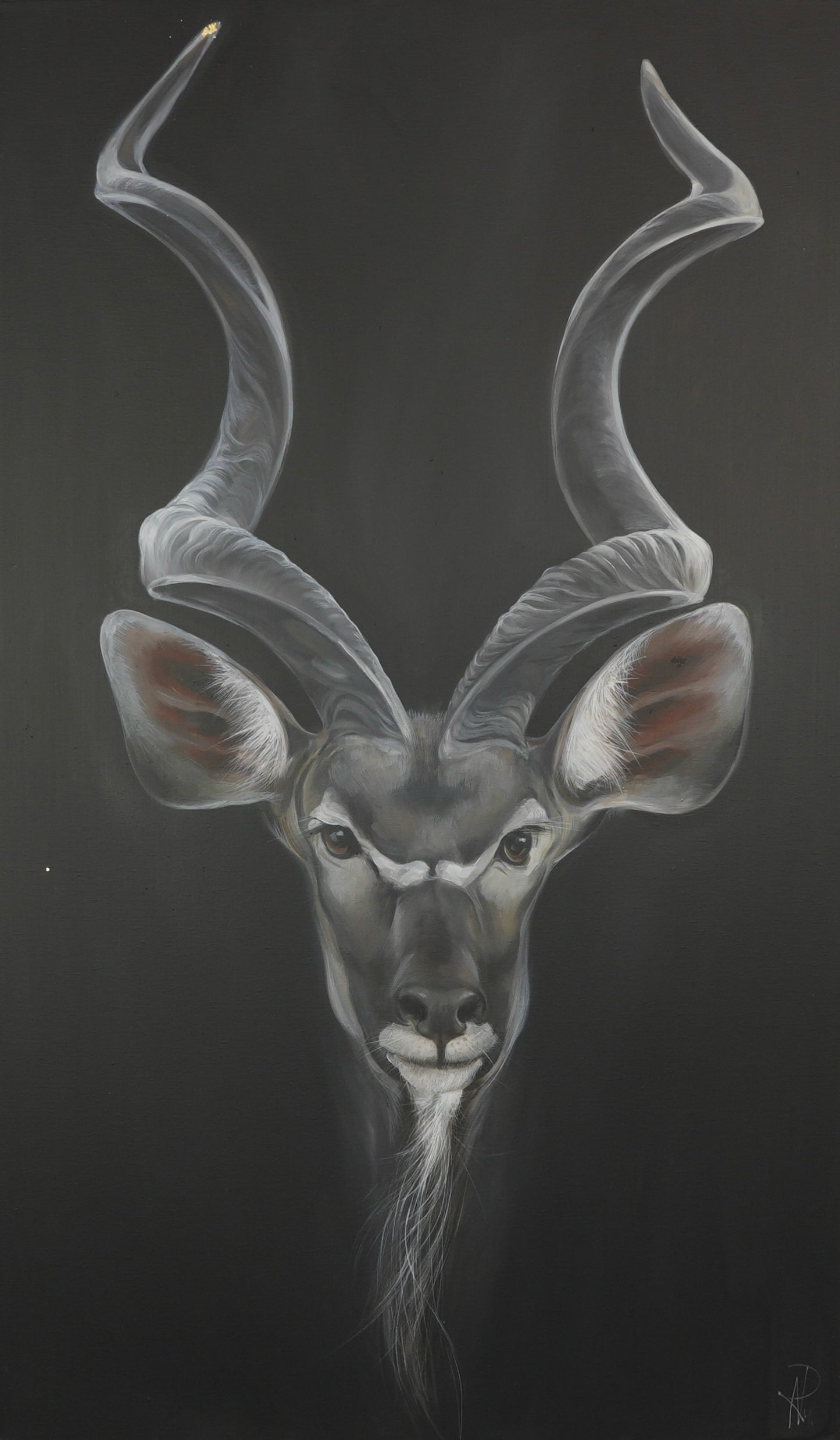 Kudu Bild 1