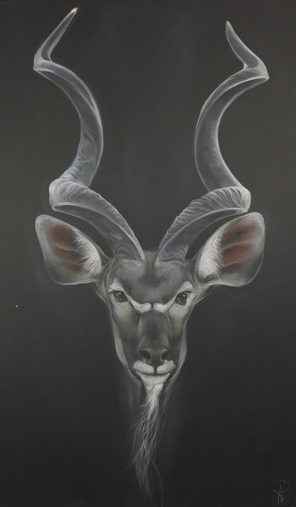 Kudu Bild 1