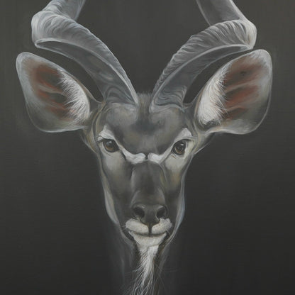 Kudu Bild 3