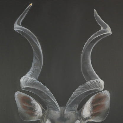 Kudu Bild 4