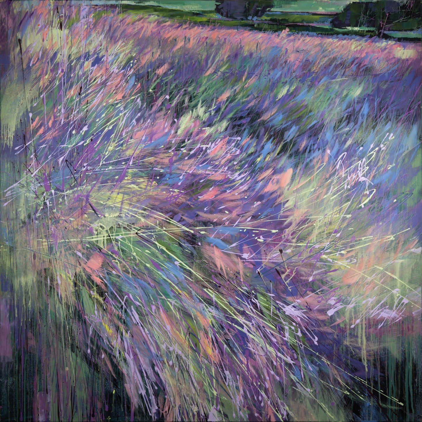 Lila und Mistral Bild 1