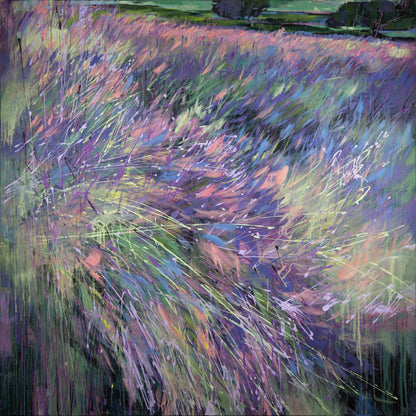 Lila und Mistral Bild 1