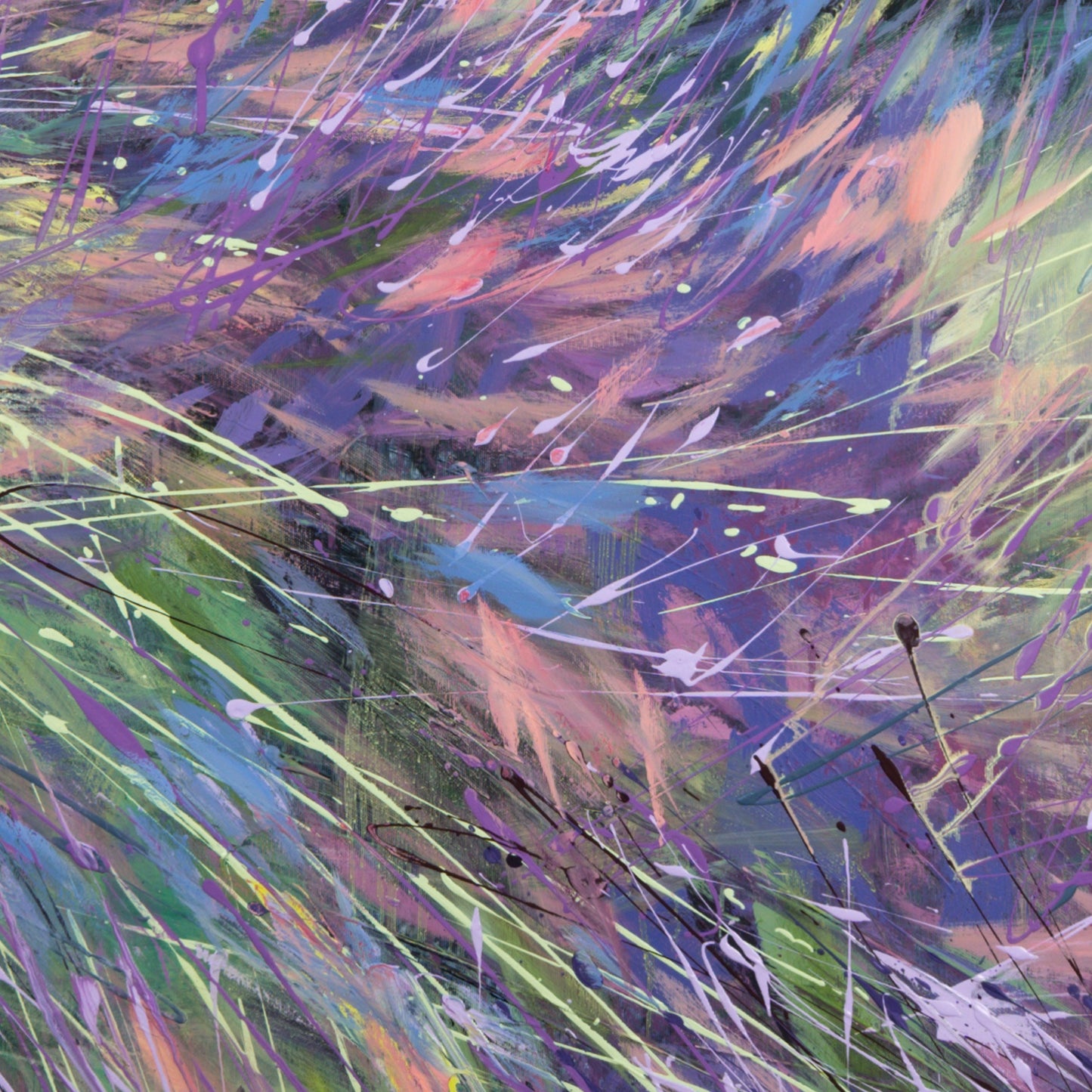 Lila und Mistral Bild 4