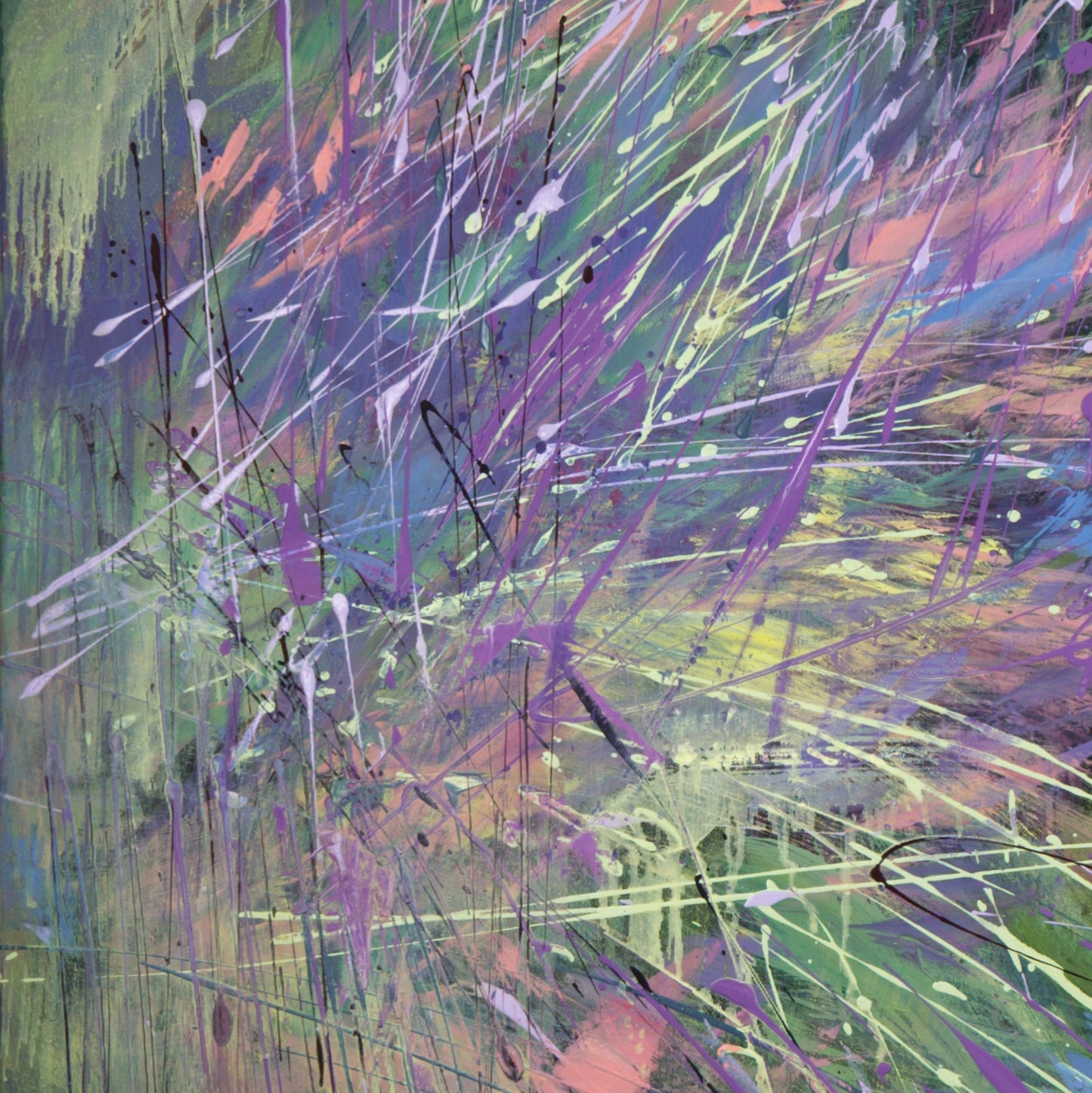 Lila und Mistral Bild 5