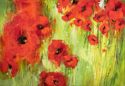 Mohnblumen Bild 1