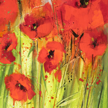 Mohnblumen Bild 4