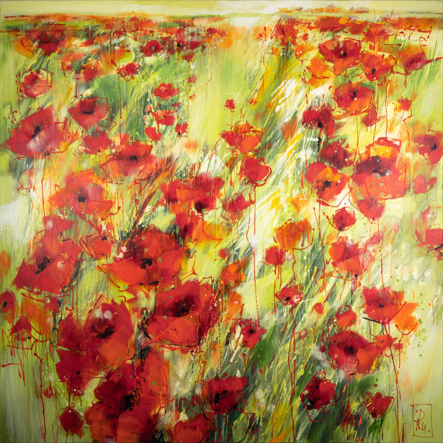 Mohnblumenfeld Bild 1