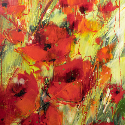 Mohnblumenfeld Bild 3