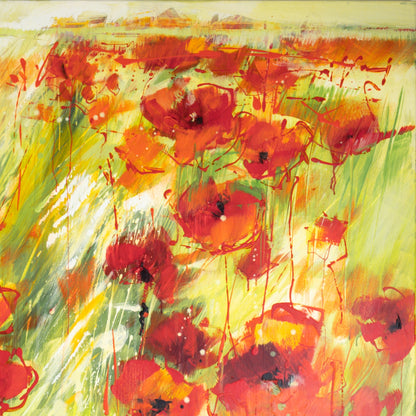 Mohnblumenfeld Bild 4