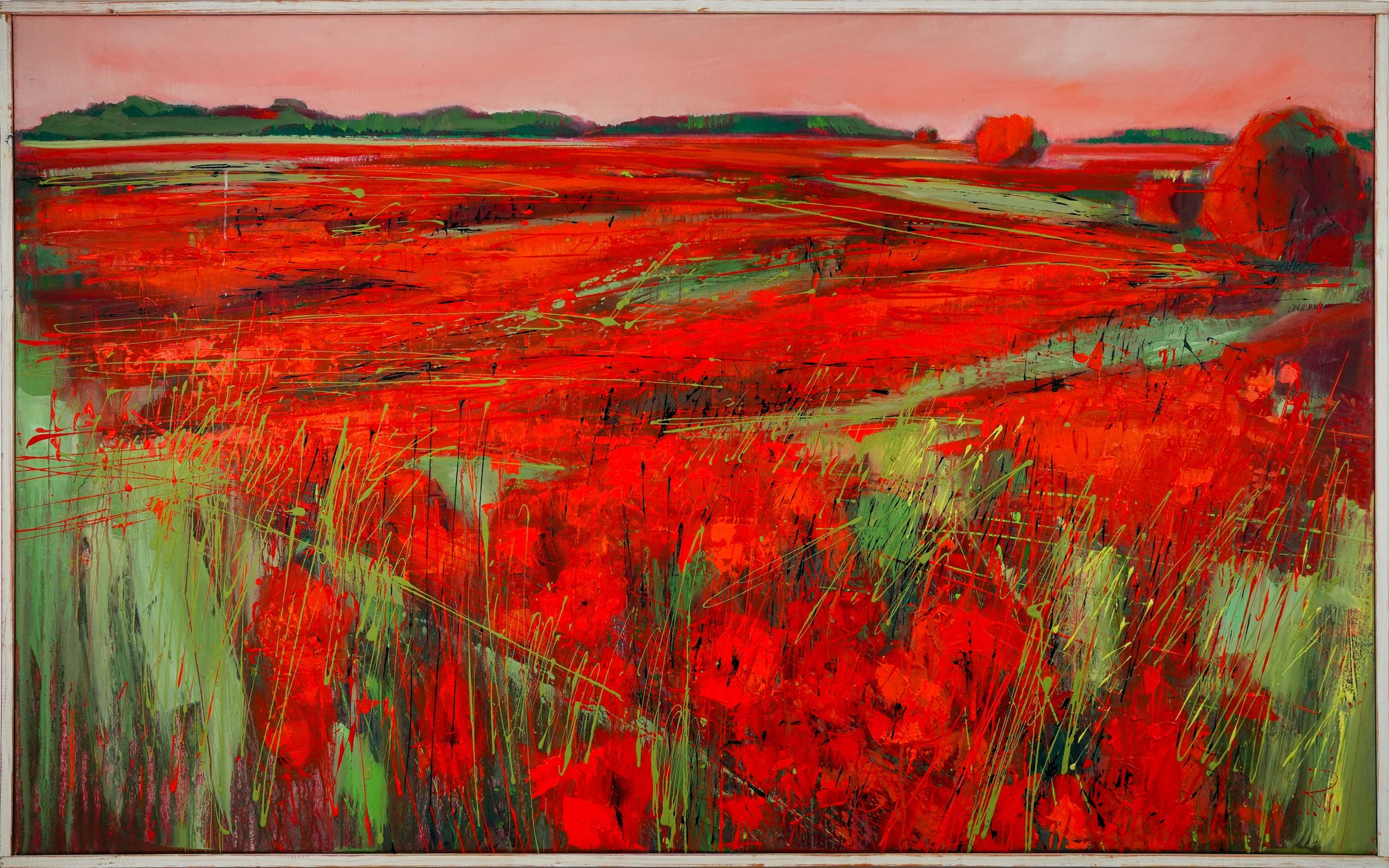 Mohnlandschaft Bild 1