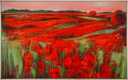 Mohnlandschaft Bild 1