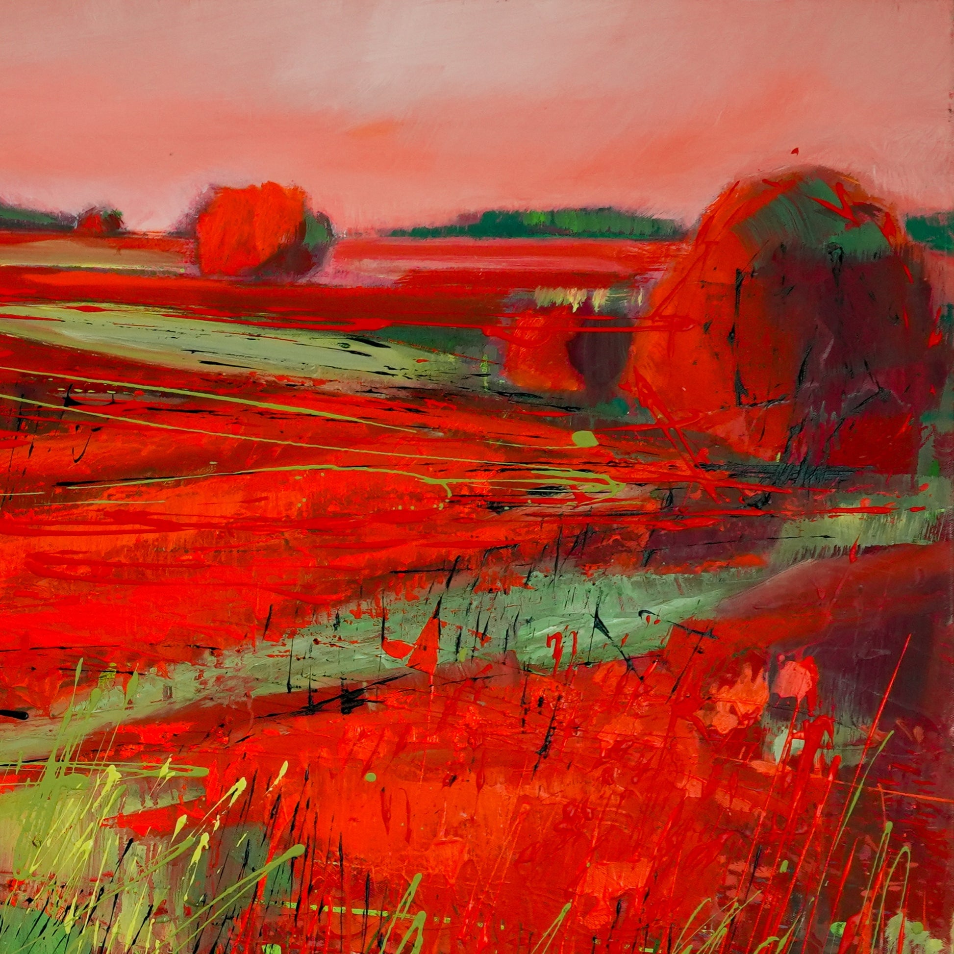 Mohnlandschaft Bild 4