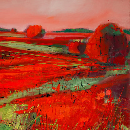 Mohnlandschaft Bild 4