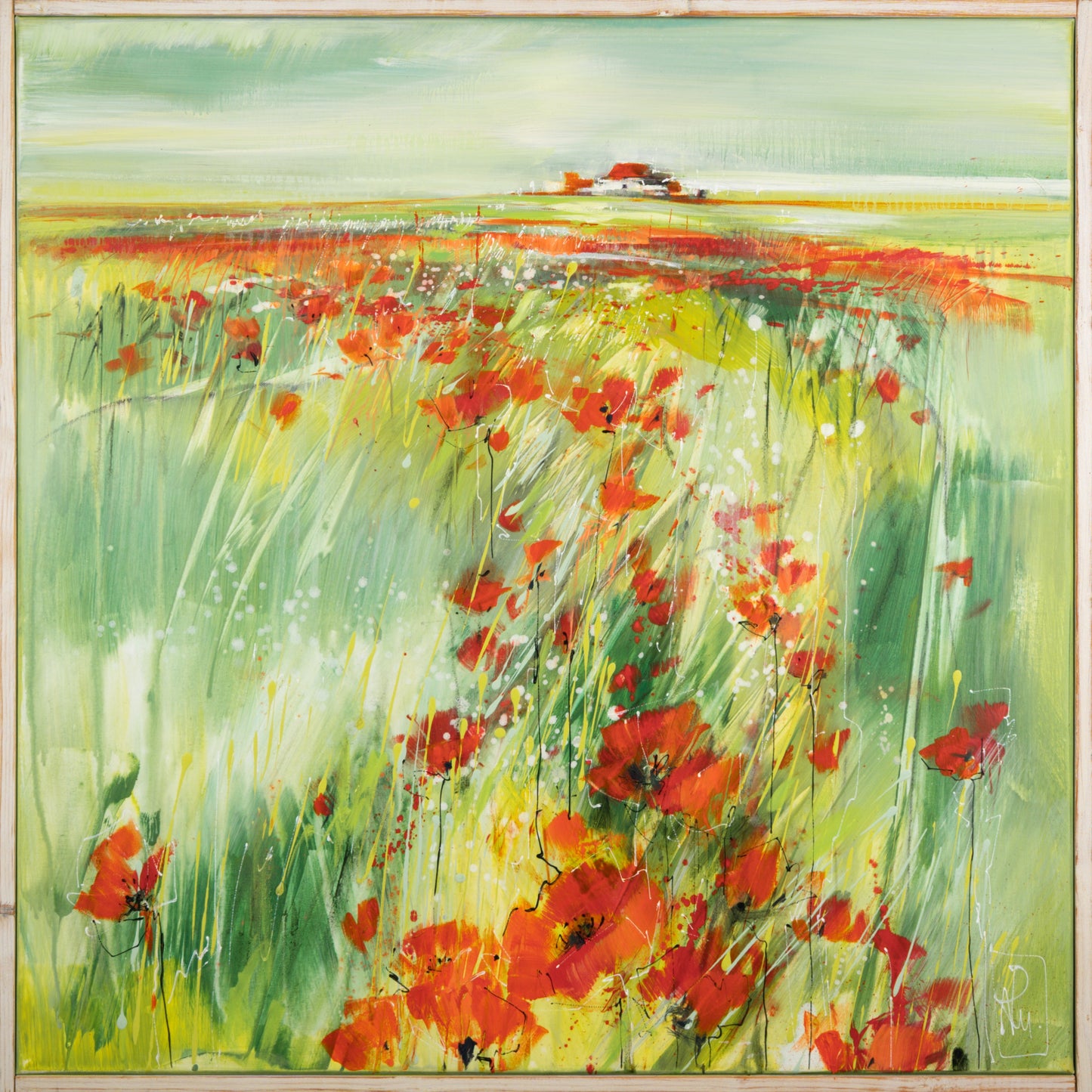 Morgen Mohn Bild 1