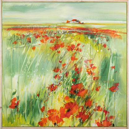 Morgen Mohn Bild 1