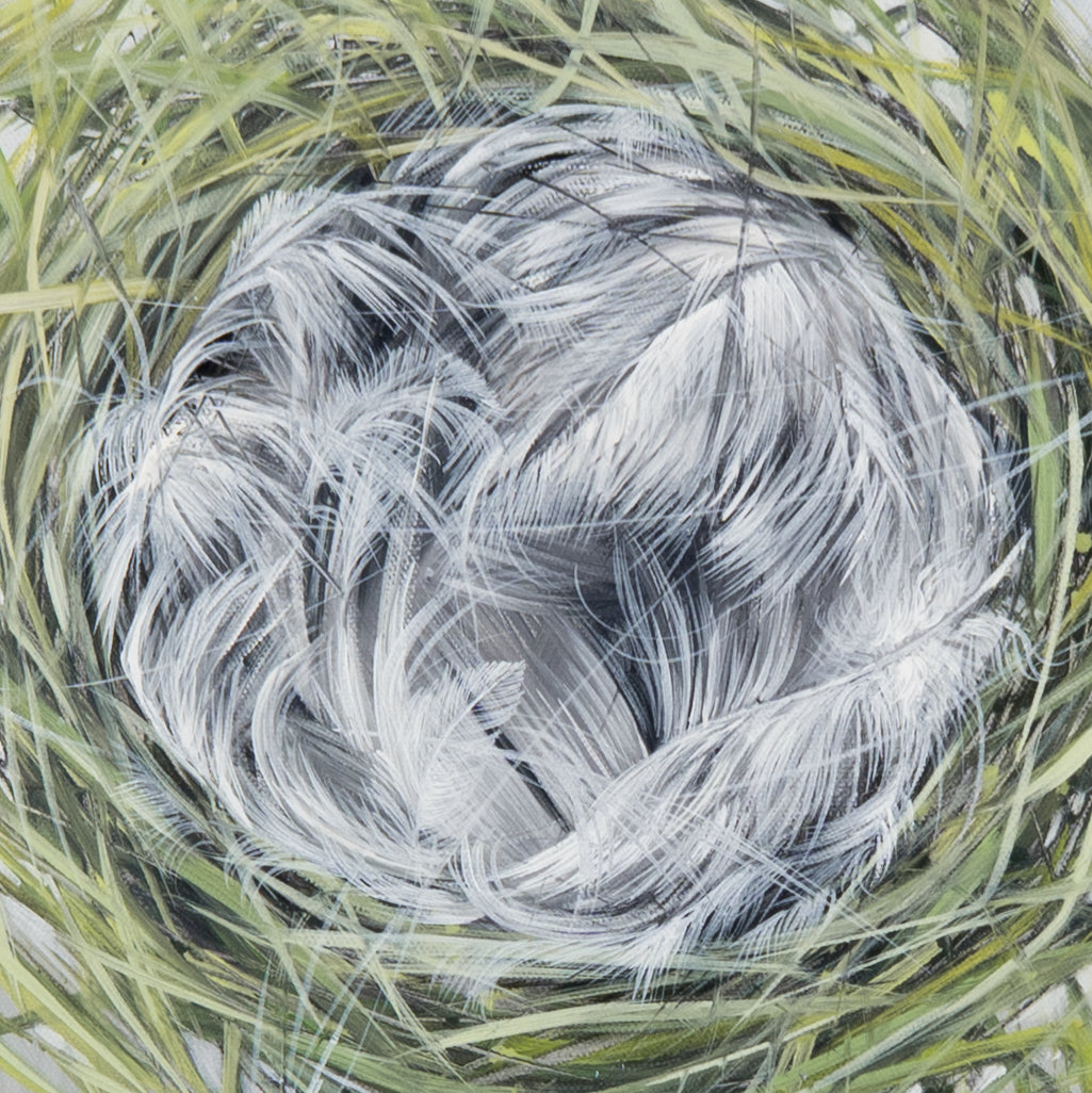 Nest-gefüllt Bild 3