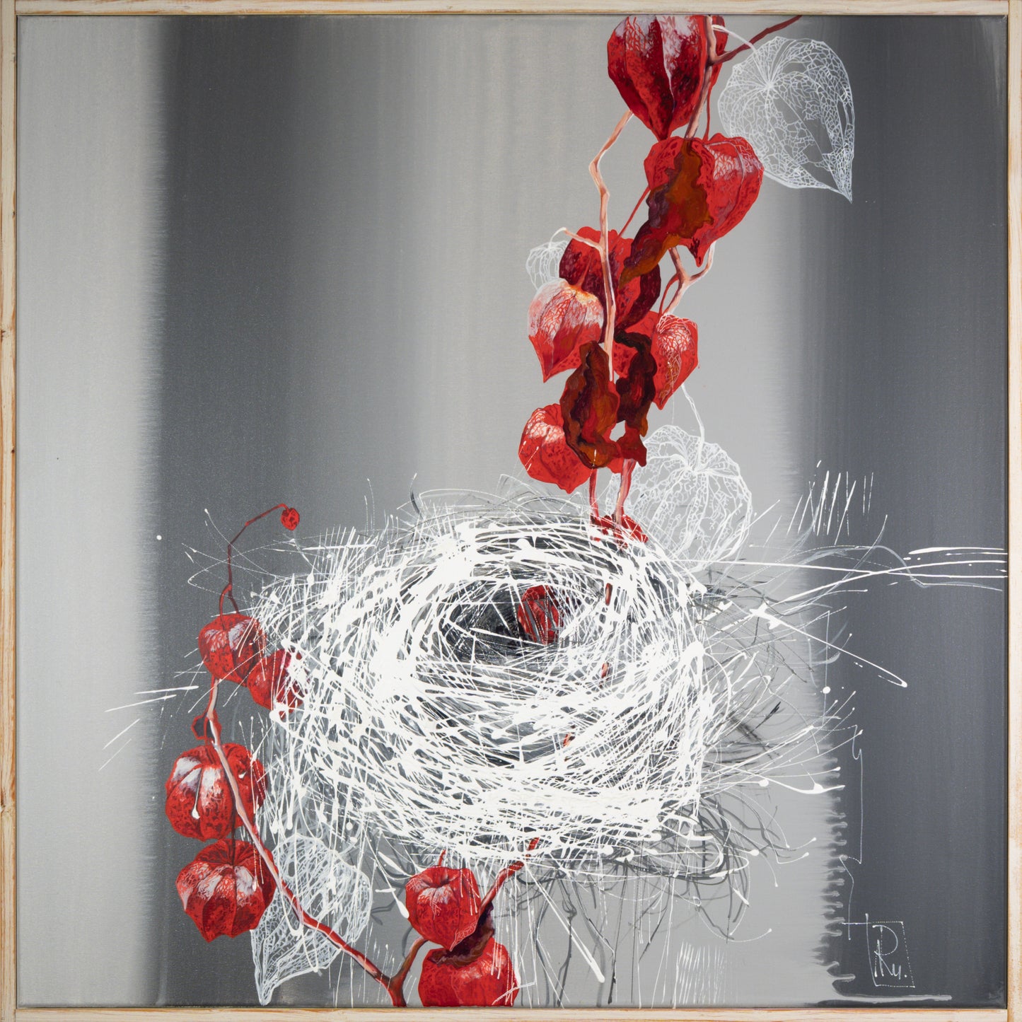 Physalis Bild 1