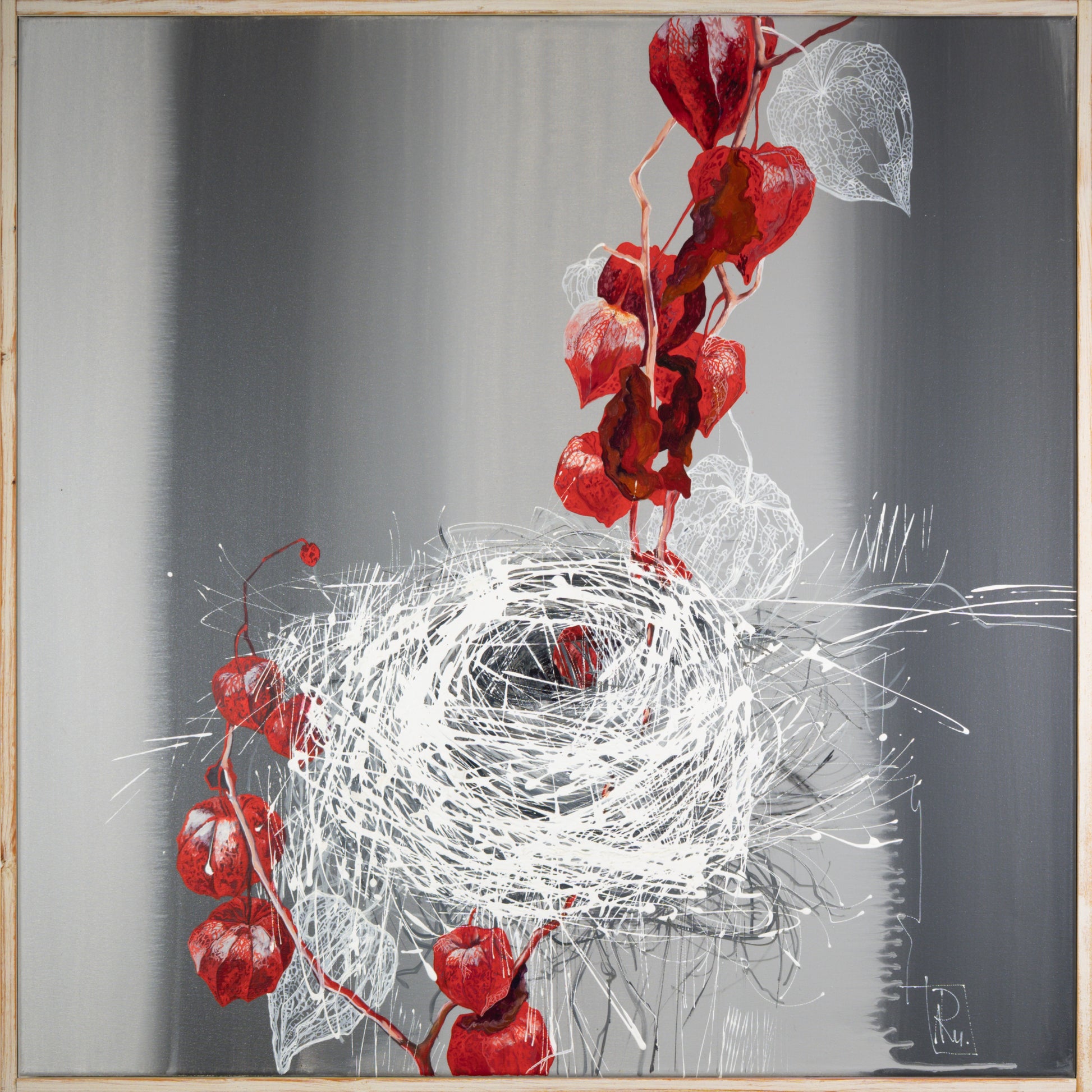 Physalis Bild 1