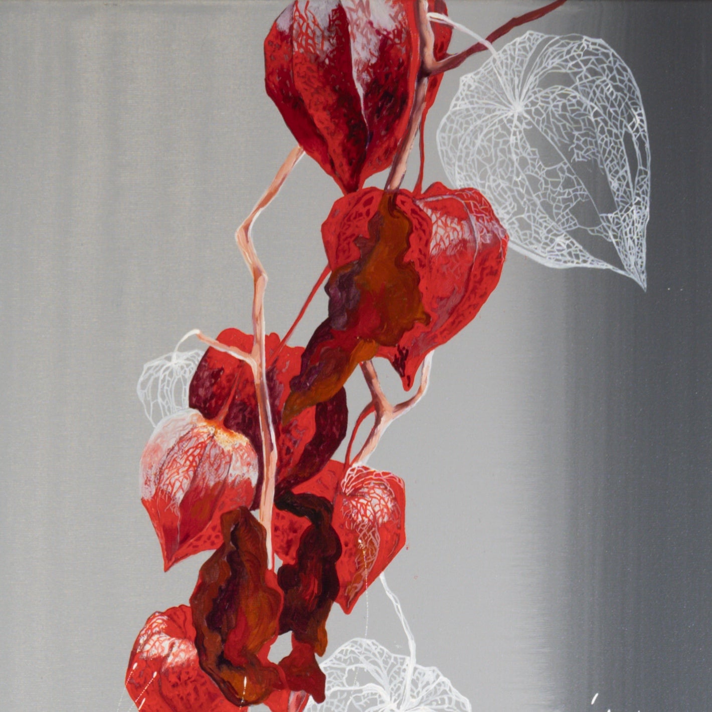 Physalis Bild 3