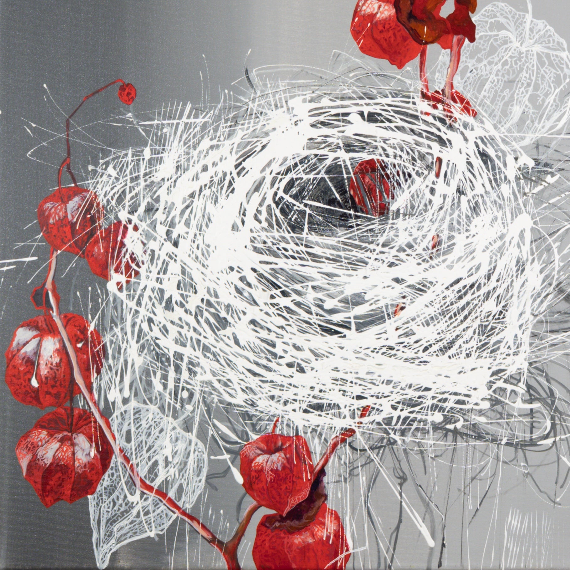 Physalis Bild 4