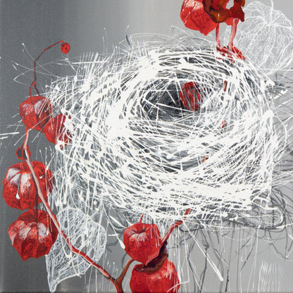 Physalis Bild 4