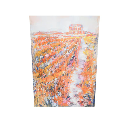 Château an der Loire Bild 2