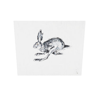 Hase Bild 2