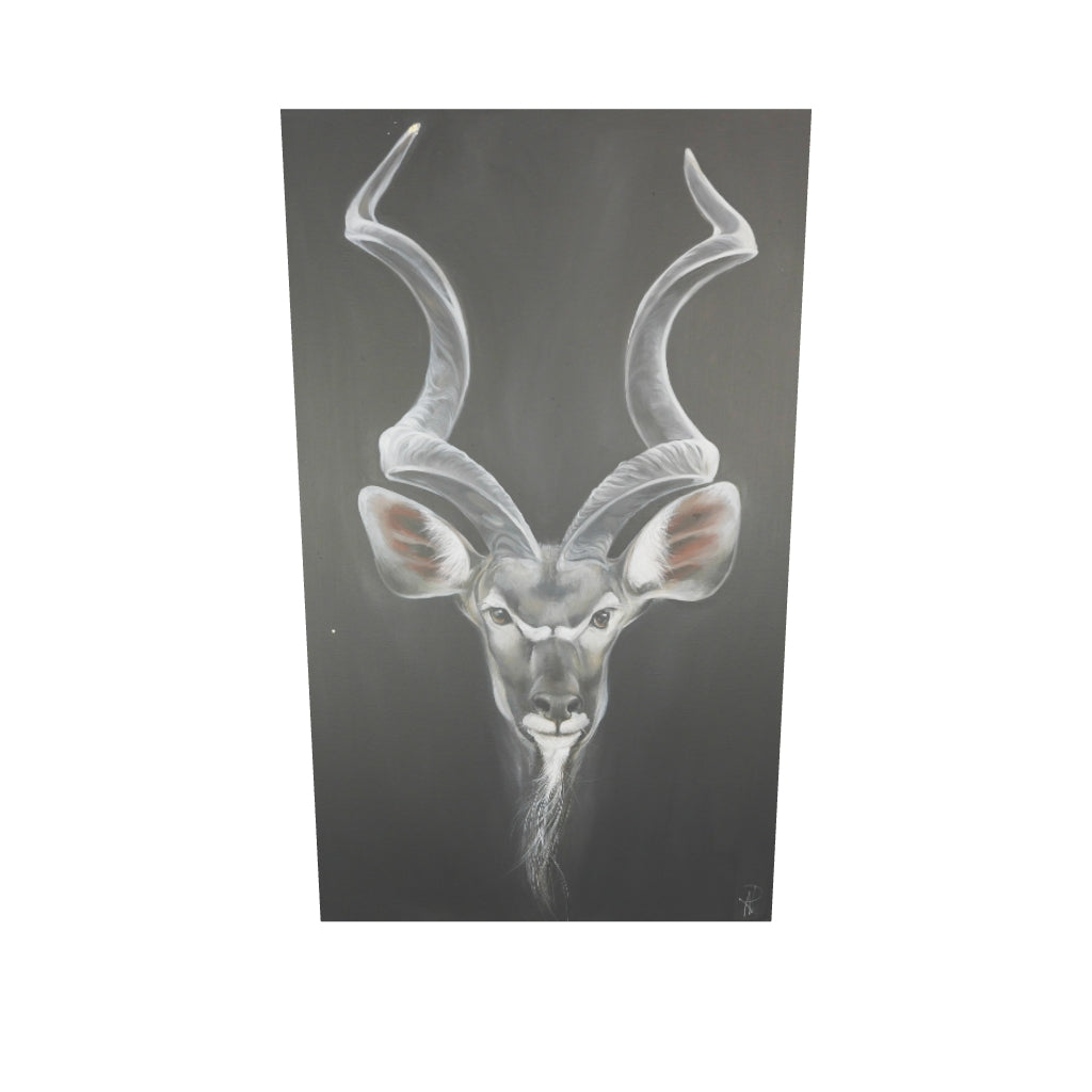Kudu Bild 2