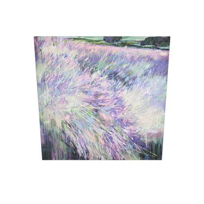 Lila und Mistral Bild 2
