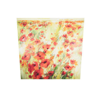 Mohnblumenfeld Bild 2