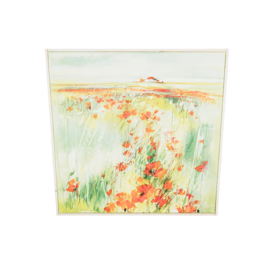 Morgen Mohn Bild 2